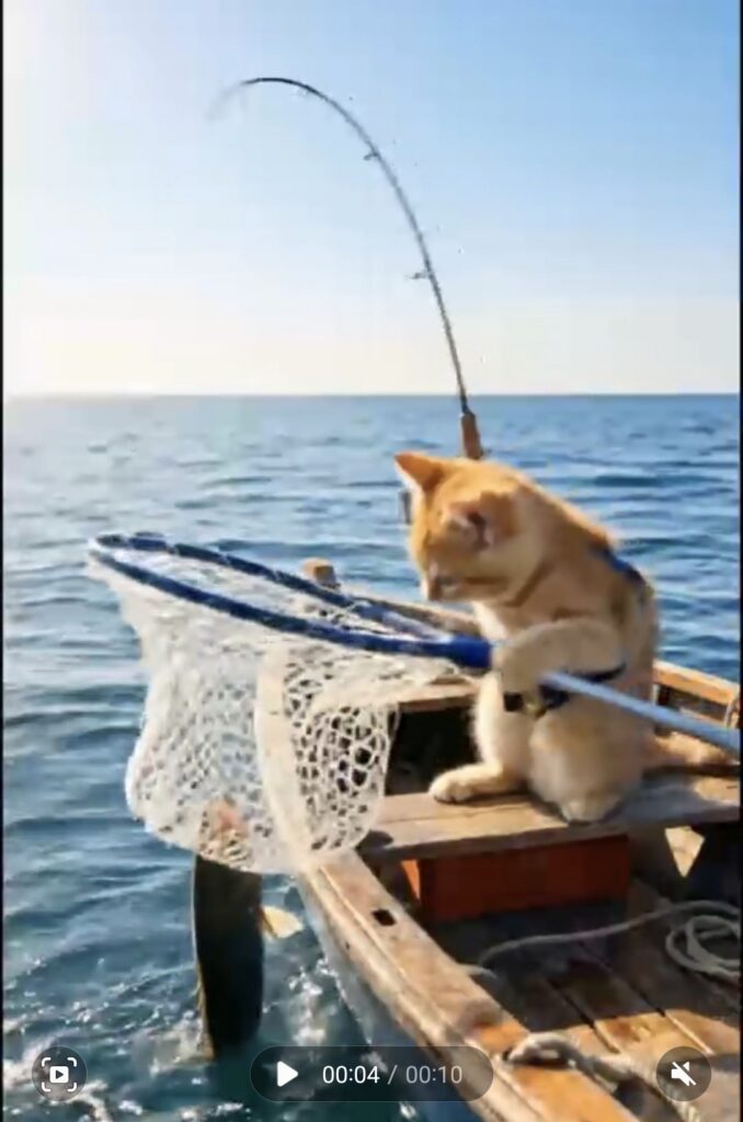 Lucie DreamyKittenStudio photo de buzz 2